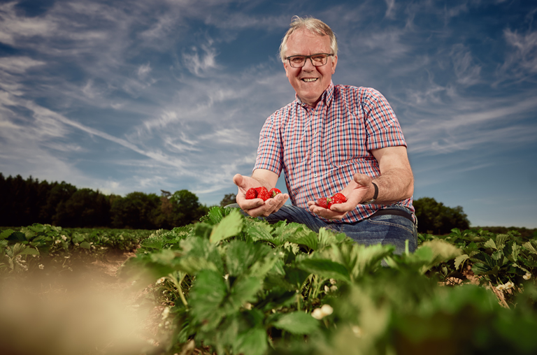 Erdbeeren-Anbau in dritter Generation