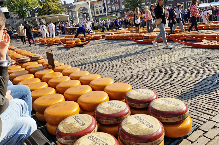 Käselaibe auf dem Altmarker Käsemarkt