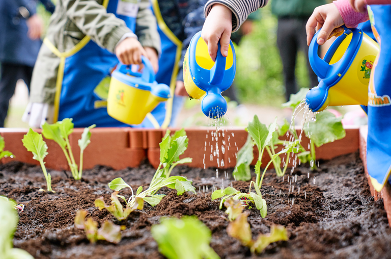 Gemüsebeete für Kids ist ein Projekt der EDEKA Stiftung