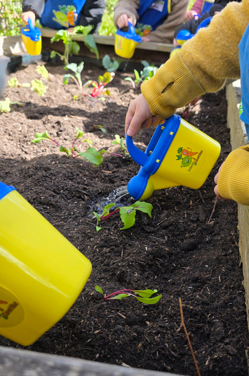 Gemüsebeete für Kids 2026 EDEKA Kutsche im Kindergarten Hl. Familie in Voxtrup