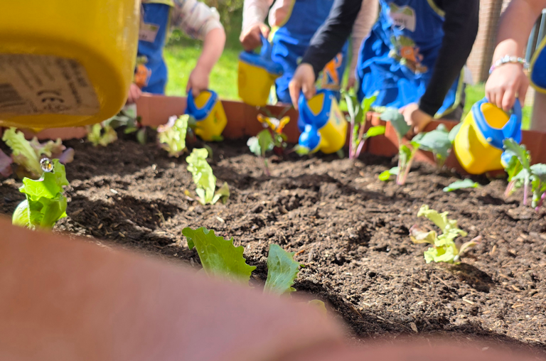 Gemüsebeete für Kids 2026 EDEKA Kutsche im Kindergarten Hl. Familie in Voxtrup